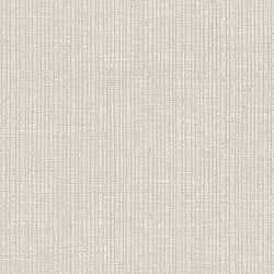Galerie Wallcoverings Product Code 28891 - Structura Wallpaper Collection - Silver Grey Colours - VERTICALE THEMA Design