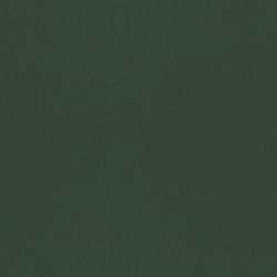 Galerie Wallcoverings Product Code 77001 - Fagring Wallpaper Collection - Oak leaf Colours - Eklöv Plain Design