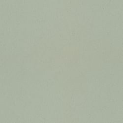 Galerie Wallcoverings Product Code 77004 - Fagring Wallpaper Collection - Spring Colours - Vår Plain Design