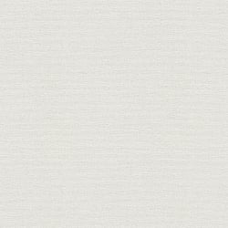 Galerie Wallcoverings Product Code HV41002 - Blooming Wild Wallpaper Collection - White Colours - Havana Plain Texture Design