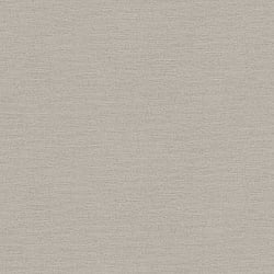 Galerie Wallcoverings Product Code HV41005 - Blooming Wild Wallpaper Collection - Grey Colours - Havana Plain Texture Design