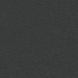 Galerie Wallcoverings Product Code HV41012 - Blooming Wild Wallpaper Collection - Black Colours - Havana Plain Texture Design