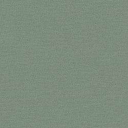 Galerie Wallcoverings Product Code HV41017 - Blooming Wild Wallpaper Collection - Green Colours - Havana Plain Texture Design