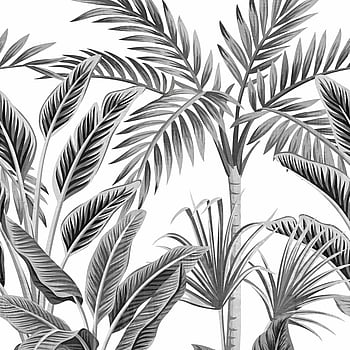Galerie Wallcoverings Product Code A40801 - One Roll One Motif II Wallpaper Collection - Black Colours -  