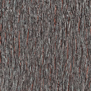 Galerie Wallcoverings Product Code AM30010 - Amazonia Wallpaper Collection - Brown Colours -  
